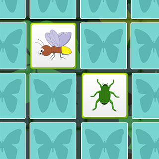Kids Memory Game - Insects