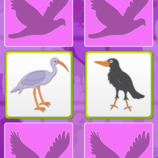 Kids Memory Game Birds Memory
