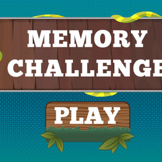 Memory Challenge Template Mode